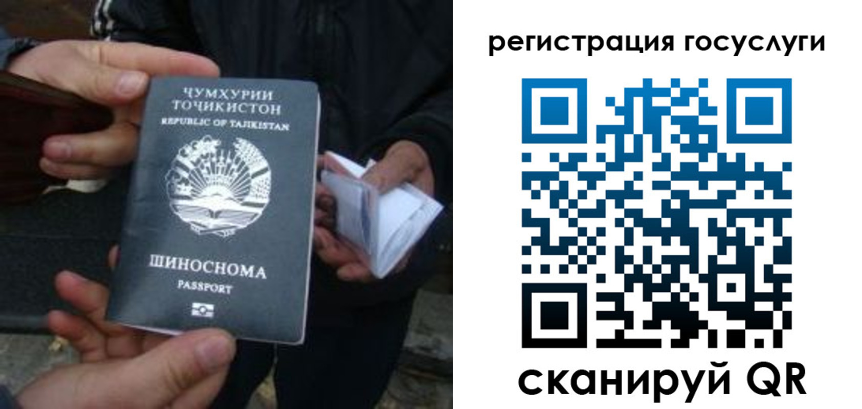 прописка регистрация в Северной Осетии
